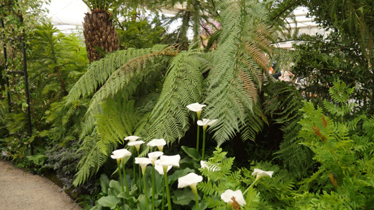 Chelsea 2025 Press Day GTN190525 132.jpg