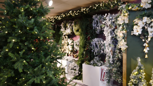 BD Blackdown GTN221025 017.jpg