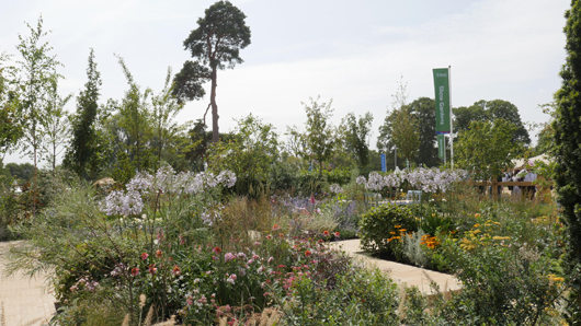 RHS Sandringham 2026 GTN230726 037.jpg