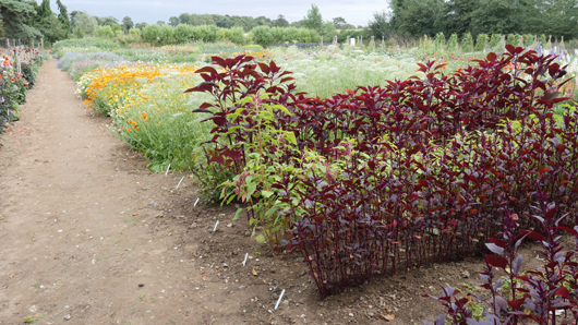 Mr Fothergills Press Day 2024 GTN070824 014.jpg