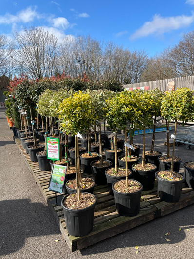 BGC Havant Opening GTN160325 063.jpg