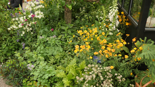 Chelsea 2025 Press Day GTN190525 138.jpg