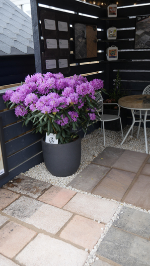 Chelsea 2025 Press Day GTN190525 062.jpg