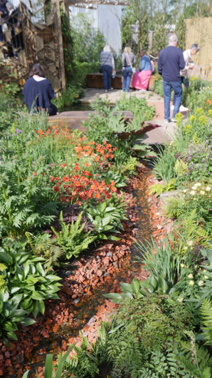 Blue Diamond Bridgmere Garden Opening GTN090525 016.jpg