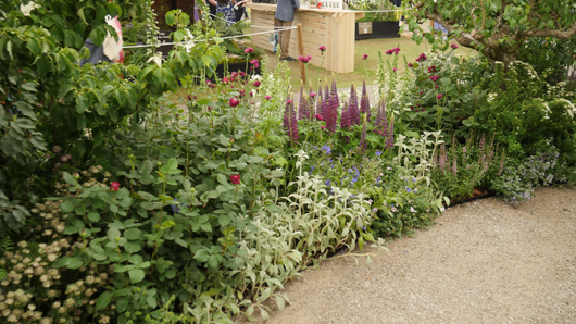 Chelsea 2025 Press Day GTN190525 137.jpg