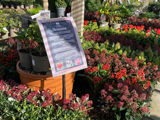 Summerhill - Oct 2025 GTN221025 105.jpg