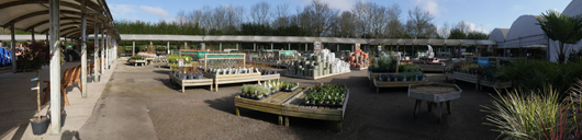 BGC Rugby Opening GTN150325 021.jpg