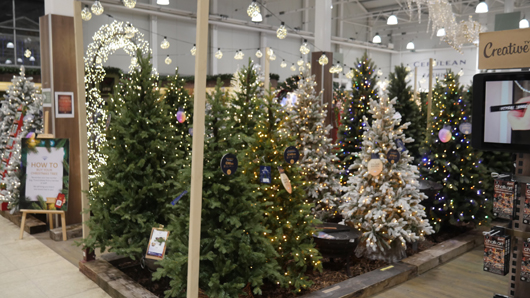 Blue Diamond Peterborough Christmas 2026 GTN221026 014.jpg
