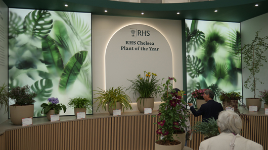 Chelsea 2025 Press Day GTN190525 098.jpg