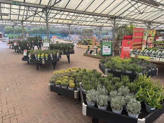 Gosforth Garden Centre - Grow your own.jpg