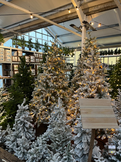 Ransoms Jersey - Oct 2025 GTN-HG201025 008.jpg