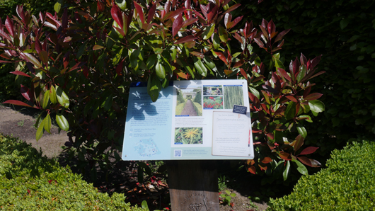 Blue Diamond Bridgmere Garden Opening GTN090525 064.jpg