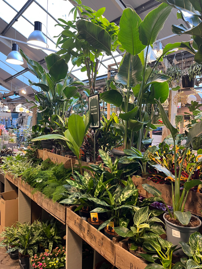 Ransoms Jersey - Oct 2025 GTN-HG201025 037.jpg