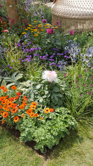 RHS Sandringham 2026 GTN230726 042.jpg