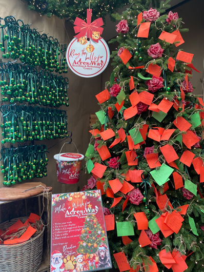 Summerhill - Oct 2025 GTN221025 025.jpg