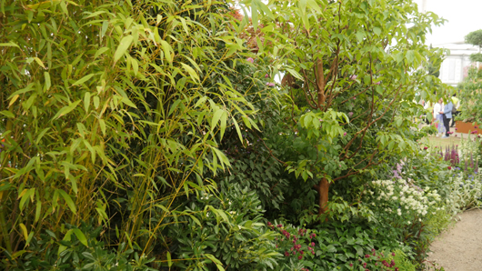 Chelsea 2025 Press Day GTN190525 135.jpg