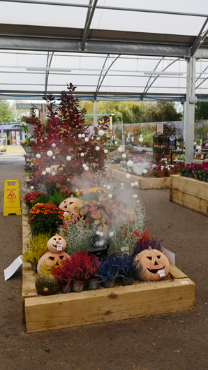 BD Blackdown GTN221025 125.jpg