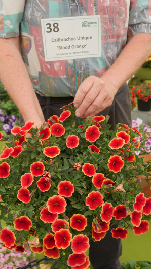 BBC GW Live 2025 Press Day GTN110625 049.jpg