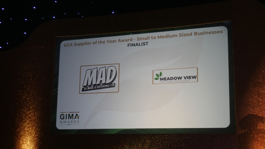 GIMA Awards 25 GTN061125 063.jpg