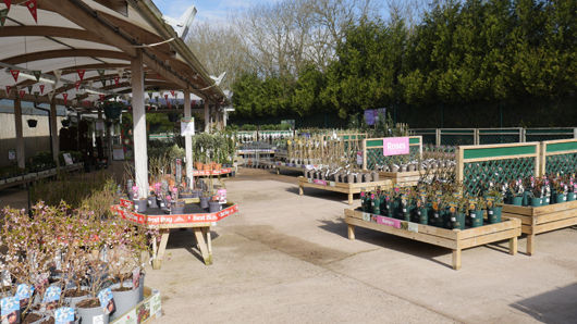 BGC Rugby Opening GTN150325 012.jpg