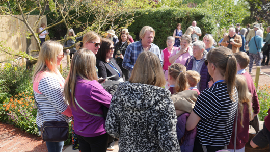 Blue Diamond Bridgmere Garden Opening GTN090525 014.jpg