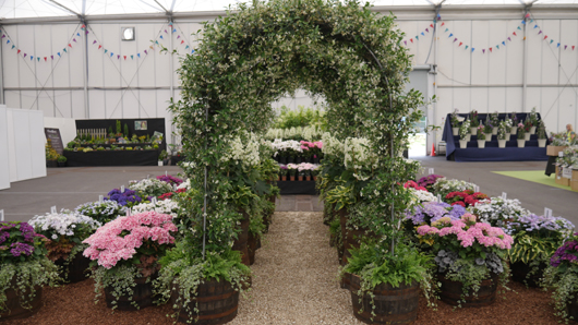 BBC GW Live 2025 Press Day GTN110625 035.jpg