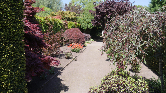 Blue Diamond Bridgmere Garden Opening GTN090525 061.jpg