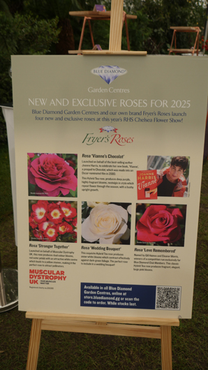 Chelsea 2025 Press Day GTN190525 140.jpg