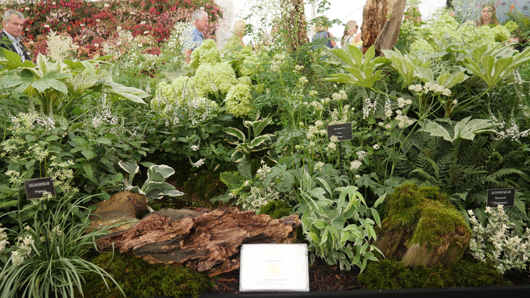 RHS Sandringham 2026 GTN230726 022.jpg