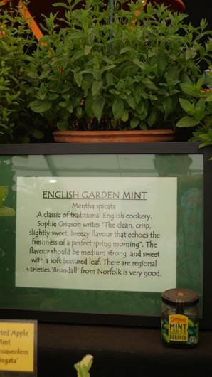 RHS Sandringham 2026 GTN230726 010.jpg