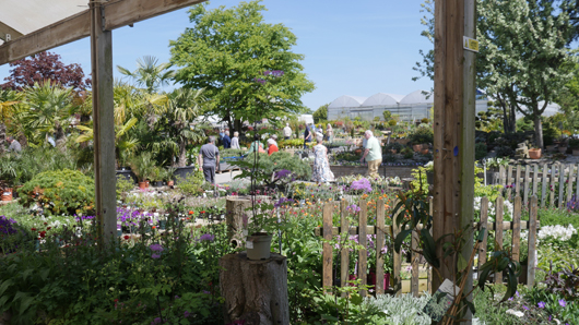 Blue Diamond Bridgmere Garden Opening GTN090525 097.jpg