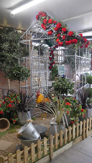 Scotsdales - June 2025 GTN140625 070.jpg