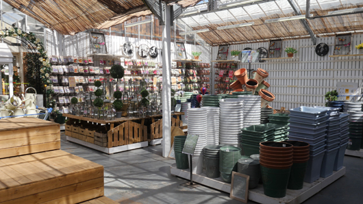 Blue Diamond Bridgmere Garden Opening GTN090525 110.jpg