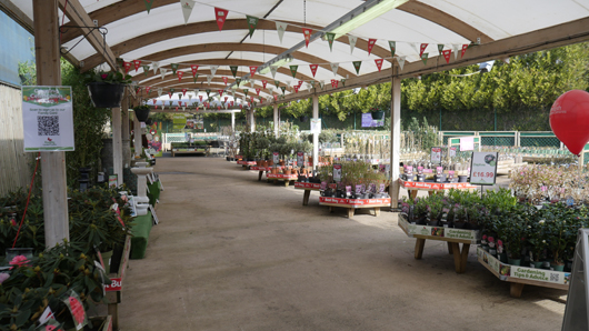 BGC Rugby Opening GTN150325 011.jpg