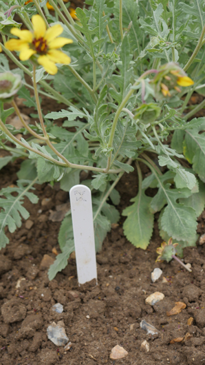 Mr Fothergills Press Day 2024 GTN070824 009.jpg