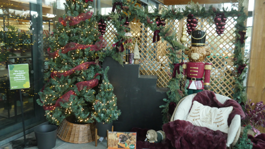 Dobbies Peterborough Christmas 2026 GTN151026 003.jpg