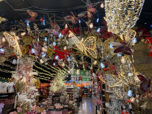 Summerhill - Oct 2025 GTN221025 071.jpg