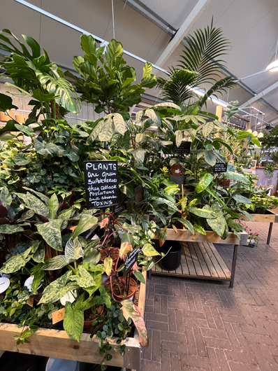 Ransoms Jersey - Oct 2025 GTN-HG201025 038.jpg