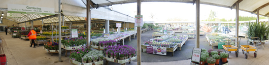 BGC Rugby Opening GTN150325 016.jpg