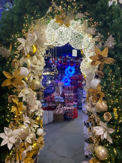 Summerhill - Oct 2025 GTN221025 060.jpg