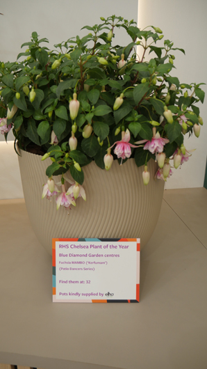 Chelsea 2025 Press Day GTN190525 106.jpg