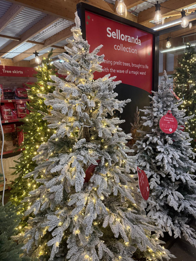 Dobbies Peterborough Christmas 2026 GTN151026 036.jpg