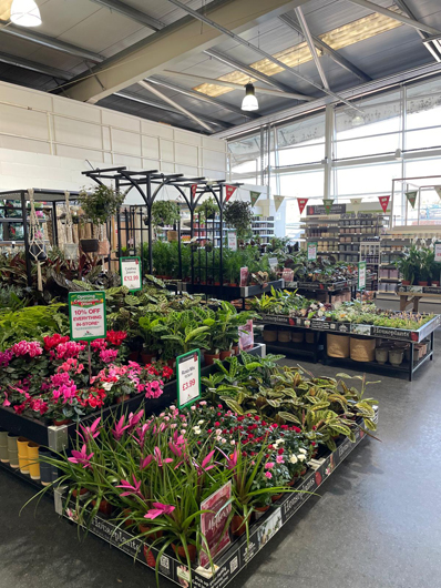 BGC Havant Opening GTN160325 021.jpg