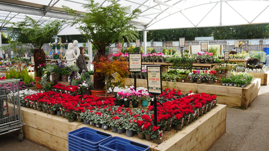 BD Blackdown GTN221025 076.jpg