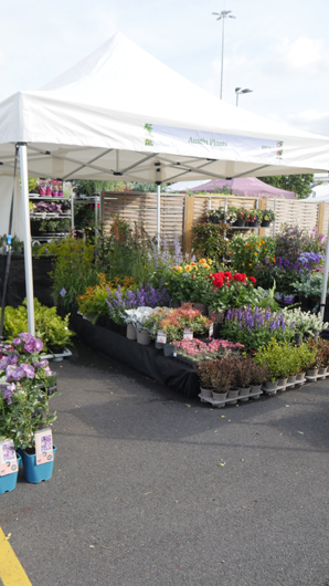 BBC GW Live 2025 Press Day GTN110625 057.jpg