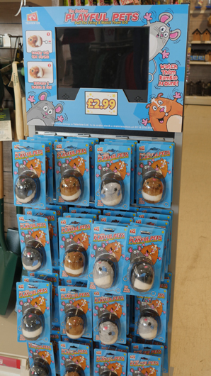 BGC Rugby Opening GTN150325 038.jpg