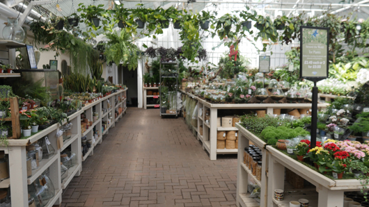 Blue Diamond Bridgmere Garden Opening GTN090525 150.jpg