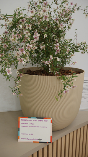 Chelsea 2025 Press Day GTN190525 111.jpg