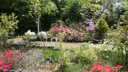 Blue Diamond Bridgmere Garden Opening GTN090525 065.jpg