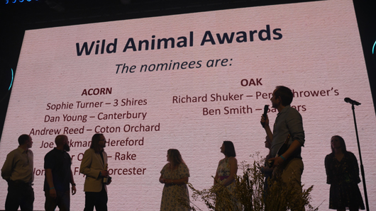 Blue Diamond Awards 2026 GTN190326 132.jpg